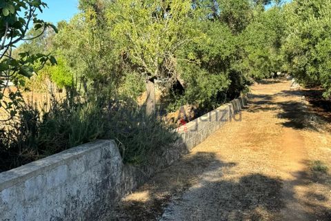 Landejendom i Ostuni, Brindisi, Ostuni - € 70.000 | Ref: 172708 - foto 23